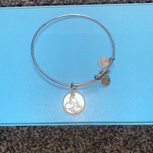 Disney collection alex and ani